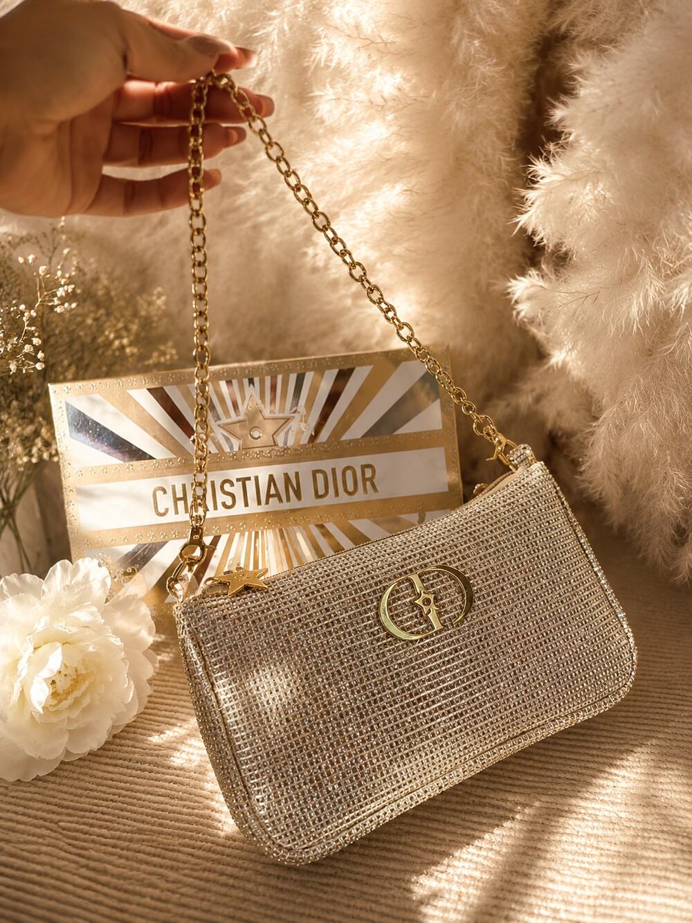 Dior GWP Christmas Collection Shoulder Bag – Limited Edition Evening Bag